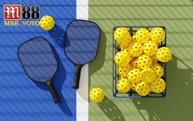 pickleball là môn thể thao gì